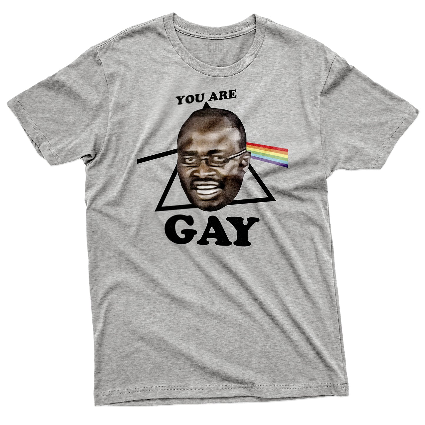 CUC T-Shirt YOU ARE GAY - Meme - Pride #chooseurcolor