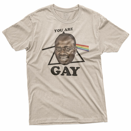 CUC T-Shirt YOU ARE GAY - Meme - Pride #chooseurcolor