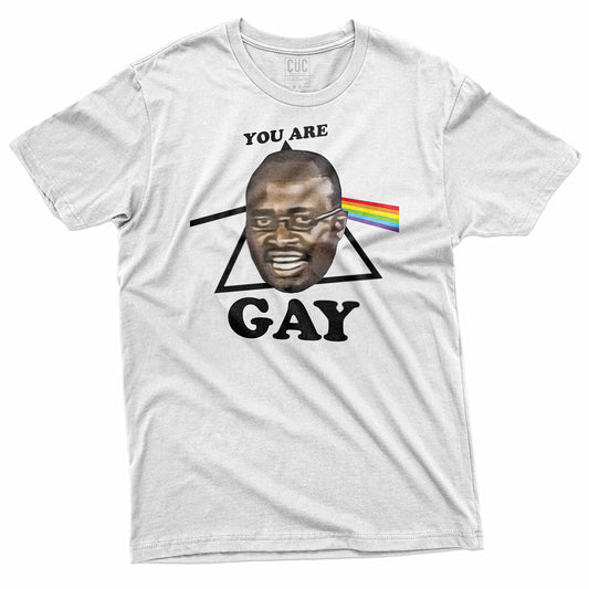 CUC T-Shirt YOU ARE GAY - Meme - Pride #chooseurcolor